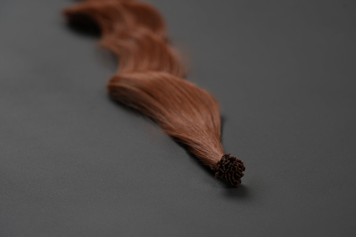 copper cat