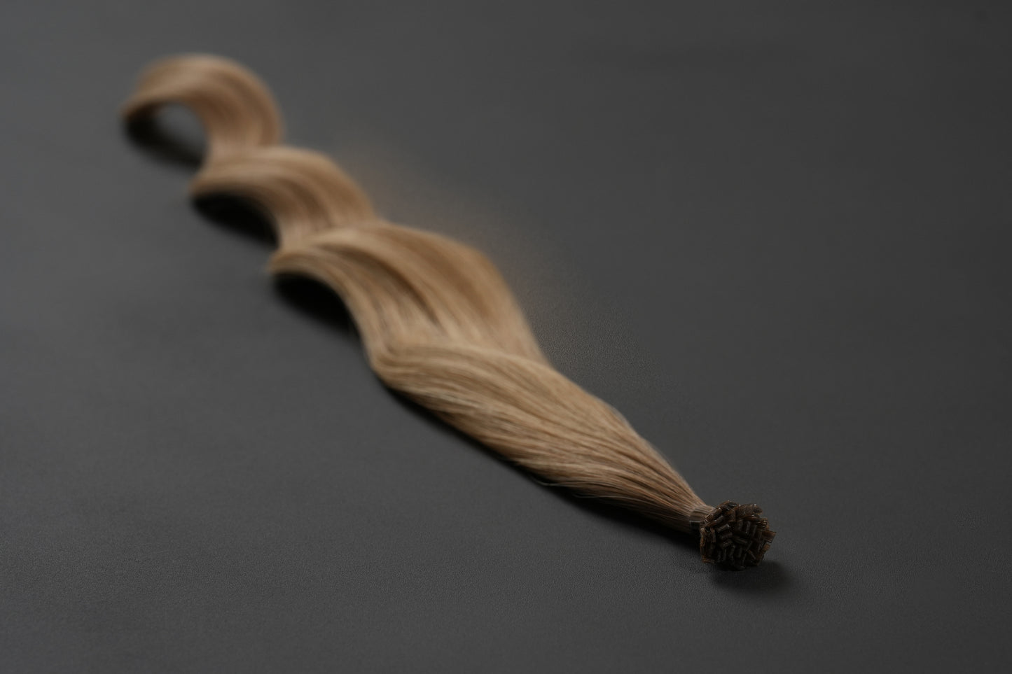 fond of bronde