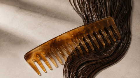 Why Wet Hair Is So Fragile — and Why It Remembers Everything