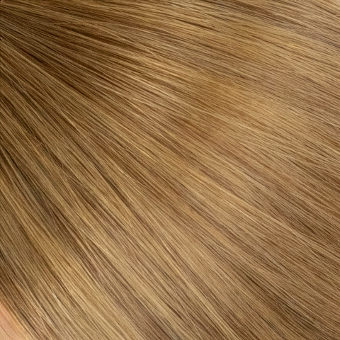 Cash Honey. R6-6N/7GB. A light brown with soft golden warmth. 