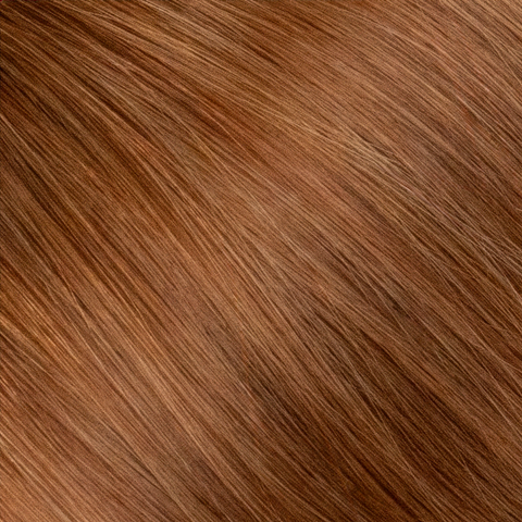 Copper Cat. 6CB. A Warm copper-beige brown.