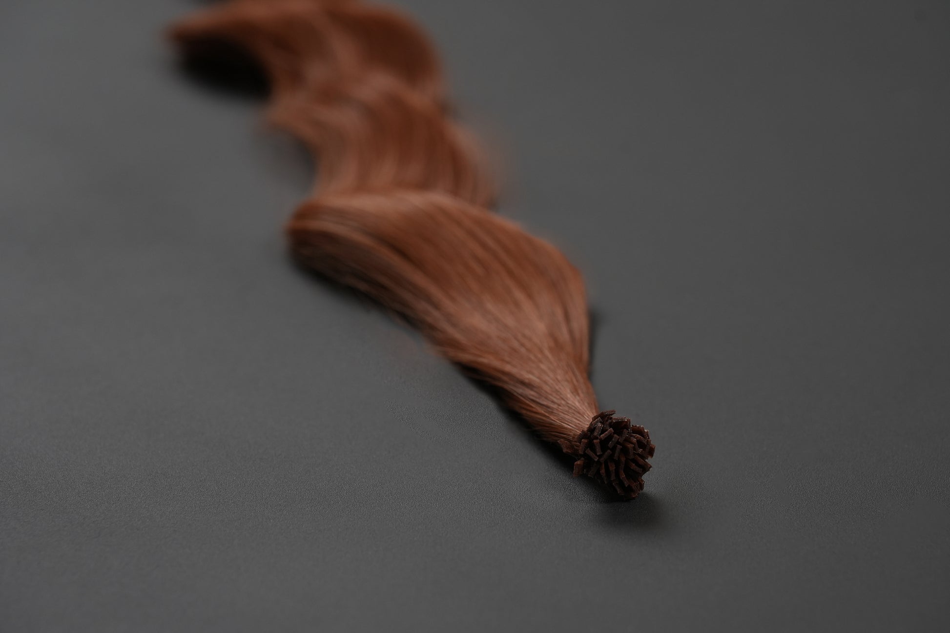 copper cat