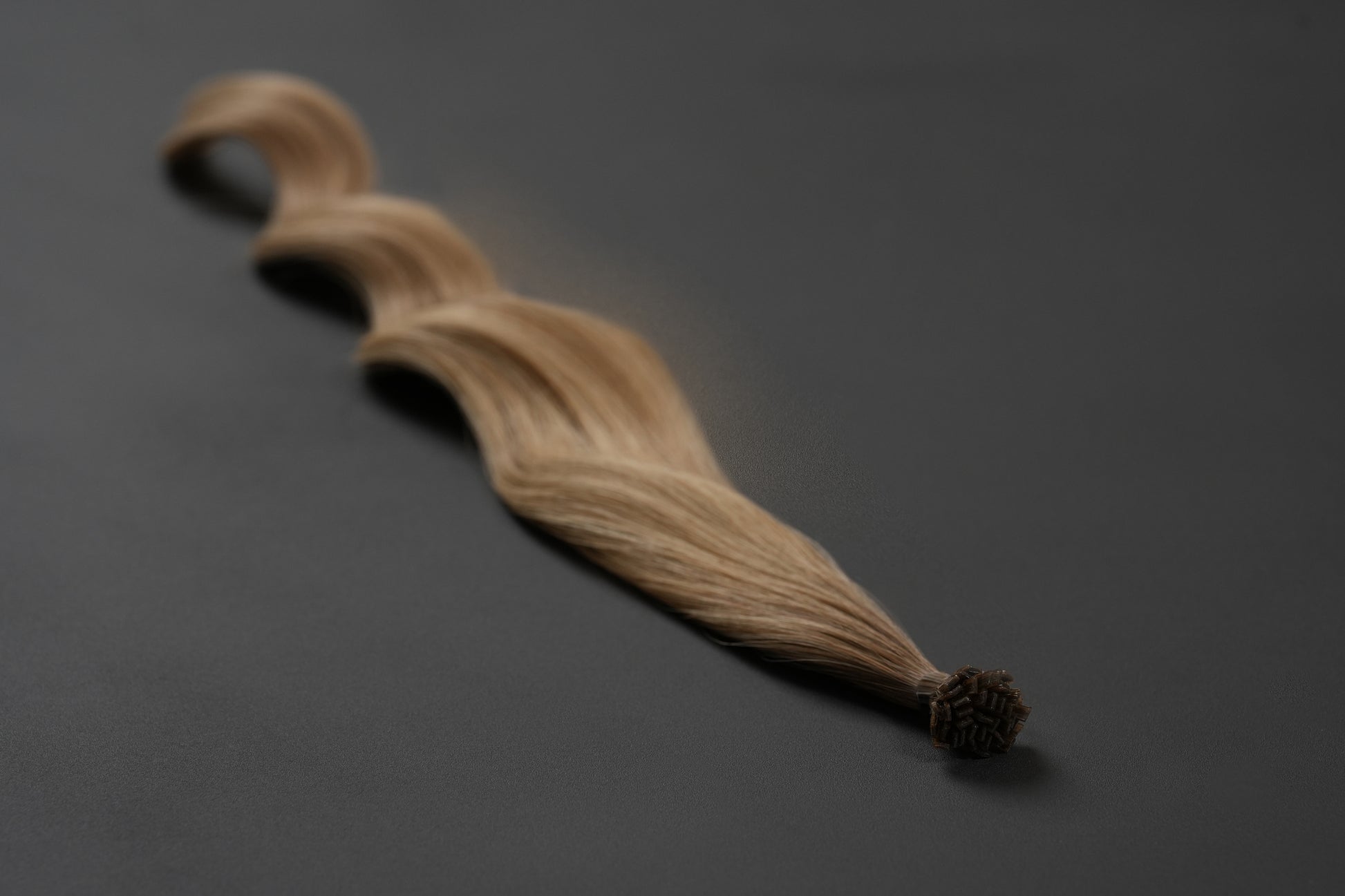 fond of bronde