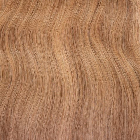 PRO•CISION Petite Genius Weft -- Honey Pot